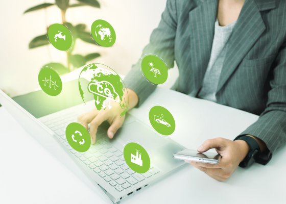 E-commerce: La sostenibilità ambientale, economica e sociale dei business online.