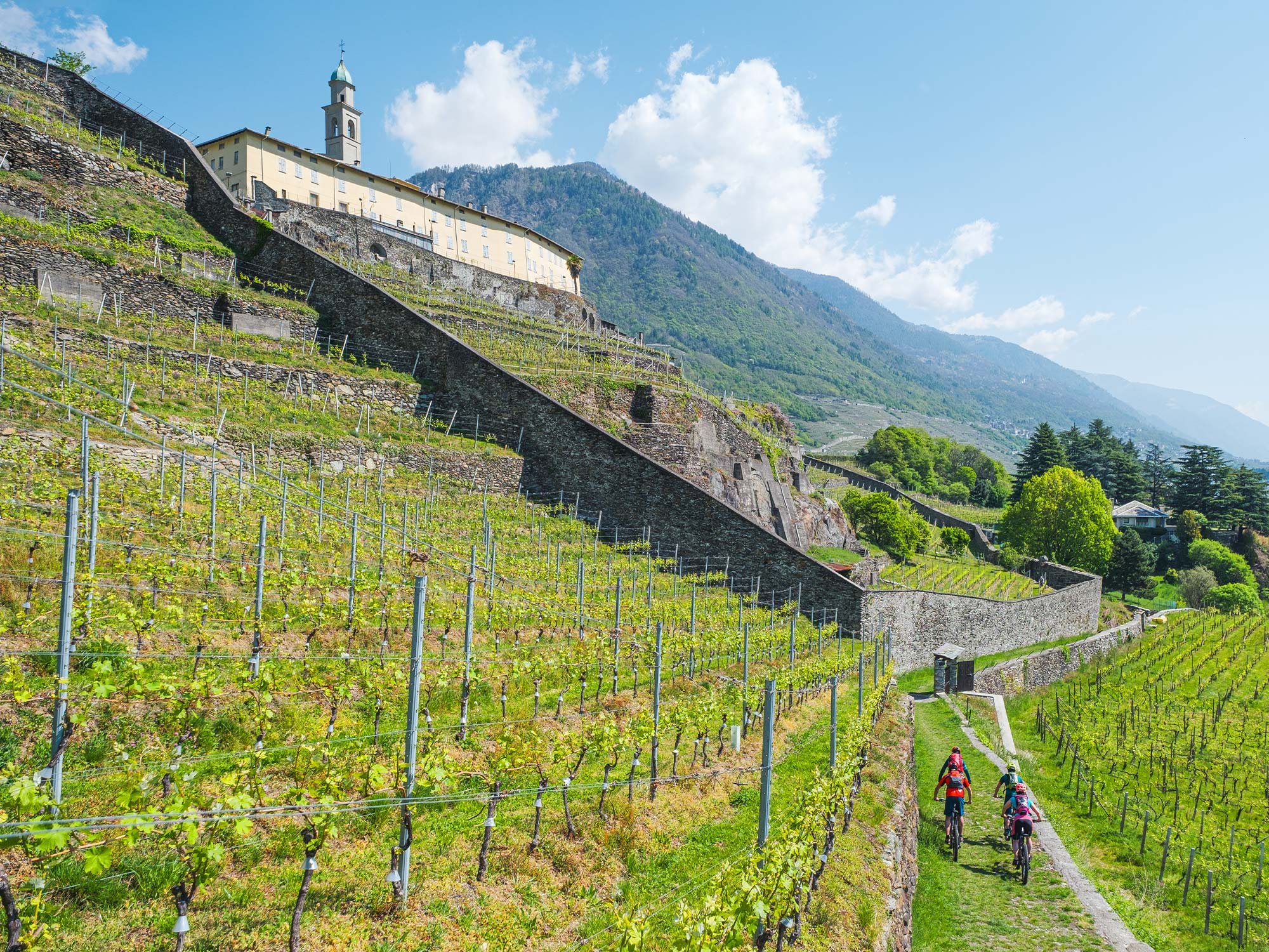 Strada del Vino Valtellina