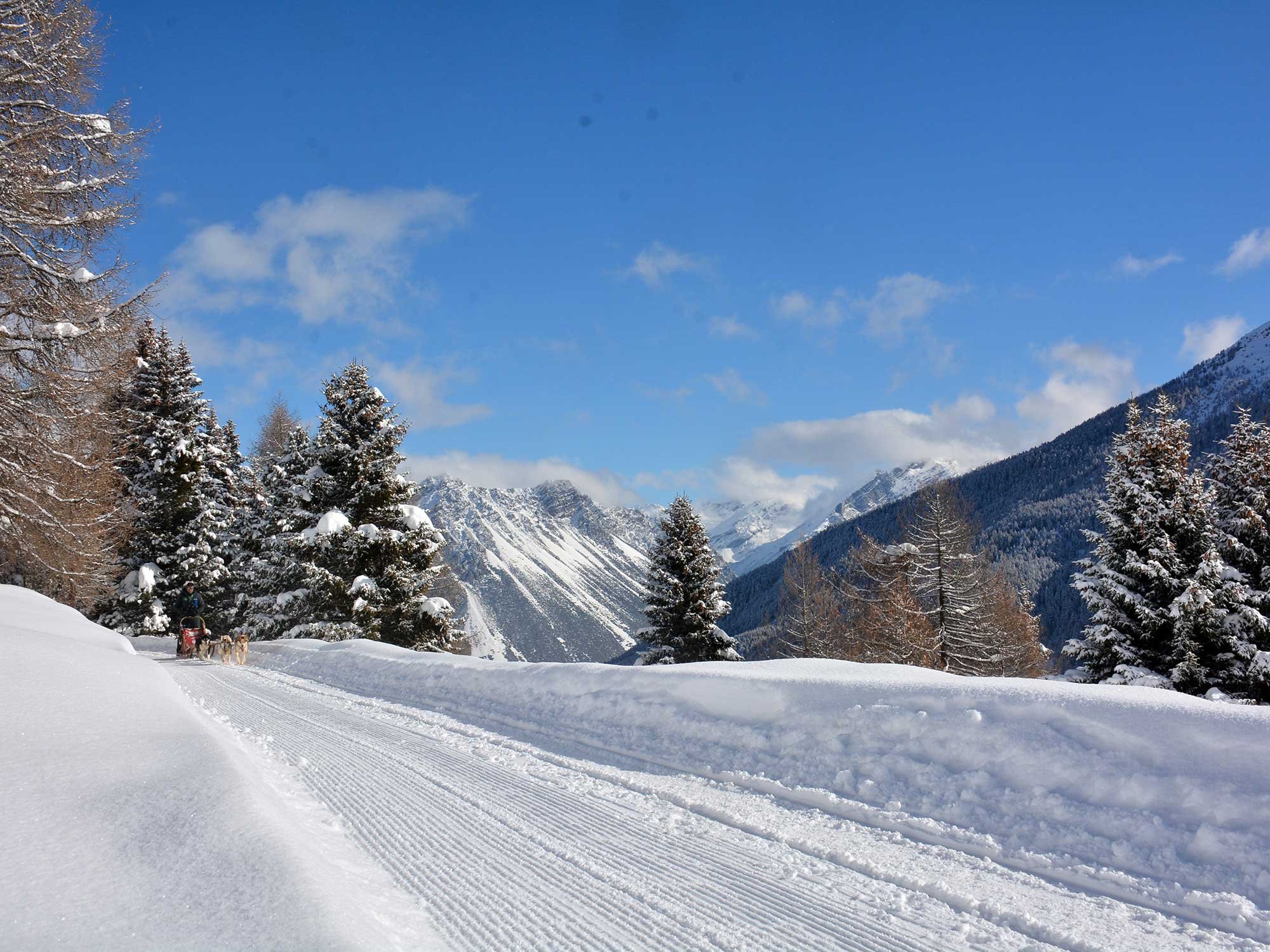 Husky Village